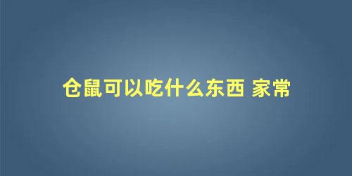 仓鼠可以吃什么东西 家常